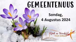 Gemeentenuus vir 4 Augustus 2024  Stilbaai NG Gemeente [upl. by Sergio]