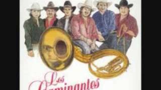 los caminantes con banda tu mirada0001wmv [upl. by Nylyrehc453]