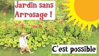 Un potager sans arrosage cest possible [upl. by Ladnyc]