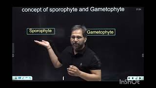 what is sporophyte and gametophyte animationsankalpbharat [upl. by Higbee]