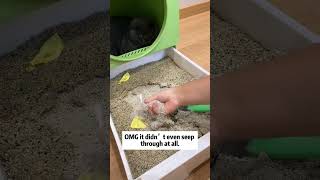 Cat litter china supplier Mineral cat litter wholesale Cat litter factory price cat petcare [upl. by Adnic]