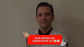 Guia rápido da linfocitose no cão e no gato [upl. by Thorsten]