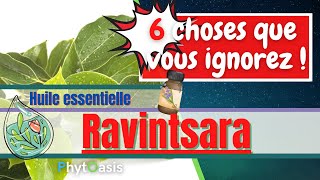 Lhuile essentielle de Ravintsara Ne faites plus ces erreurs [upl. by Laerdna]