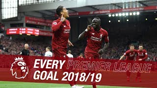 All 89 of Liverpools Premier League goals from the 201819 season [upl. by Ariec416]