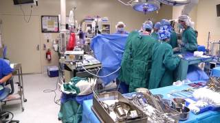 Advances in Liver Transplant Surgery  WebMD [upl. by Radburn]