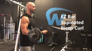 EZ Bar Supinated Bicep Curl [upl. by Luisa627]