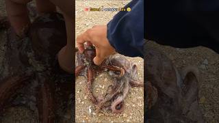 🐙Rescue mission Successfully saved 4 octopus friends 🥺 [upl. by Cornie]