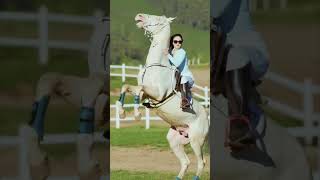 music beats remix dnb horse horselover horseriding horseracing horsepower [upl. by Carpenter]