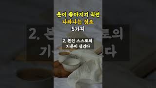 운이 좋아지기 직전 나타나는 징조 5가지 [upl. by Atikim]