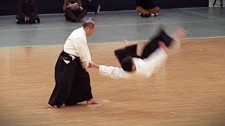 Daitoryu Aikijujutsu  Kondo Katsuyuki  38th Kobudo Embutakai at the Nippon Budokan [upl. by Fancy]