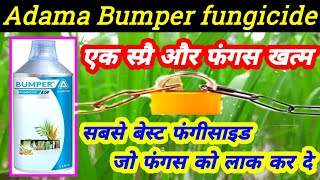 adama bumper fungicidePropiconazole25EC bumper fungicide price dose work result hukeshpradhan [upl. by Xuaeb]