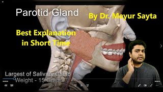 Parotid Gland Anatomy [upl. by Wagoner]