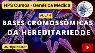 AULA 4  Bases Cromossômicas da Hereditariedade medicina genética genoma educação enem aulas [upl. by Marmion]