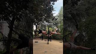 Adding controlled negatives and isometrics into your calisthenics training routine significantly [upl. by Aduh]