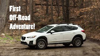 I Took My 2019 Crosstrek OffRoading Up Mount Mexico [upl. by Cerf609]