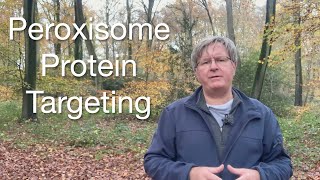 How Proteins Get Into Peroxisomes  Biology Explained [upl. by Xuaeb]