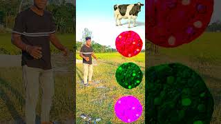 Cooking biscuit to gai bhes bakri amp kutta vfx youtubeshorts funny 🤣 [upl. by Brenna]