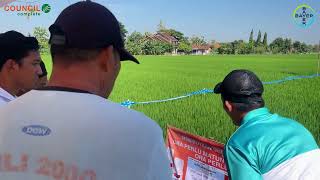 Keseruan Field Trip Council bersama Petani Sragen 19 September 2024 PT BAYER [upl. by Arianne691]