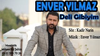 ENVER YILMAZ  DELİ GİBİYİM  Official Audio [upl. by Marteena]