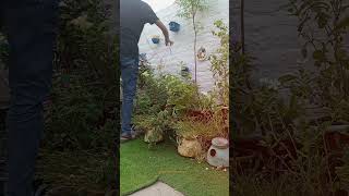 GARDEN MAKEOVER  PART 2  1000subscriber [upl. by Ecirtel]