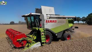 Claas Lexion 570 in de wintertarwe [upl. by Petes]