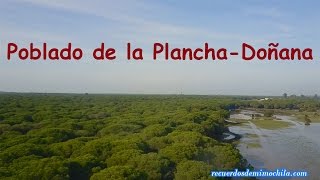 Poblado de la Plancha dentro del PN Doñana [upl. by Azeria]