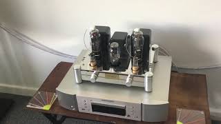 Reisong A10 Tube Amplifier with Vintage Mullard EL38 Tubes [upl. by Ynnaf]