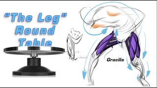 How to Draw the Leg FORCES FORCE Friday 231 [upl. by Aicital719]