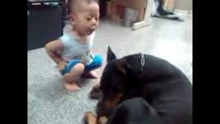 Doberman attacks baby NO WAY [upl. by Kono]