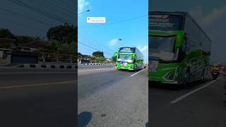 BASURI AIR HORN SAYIDAN basuribus busmania automobile 1million fyp viral [upl. by Esille]