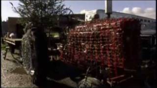 Tractors Decorated for Christmas Parade  Americas Heartland [upl. by Nhguavaj807]