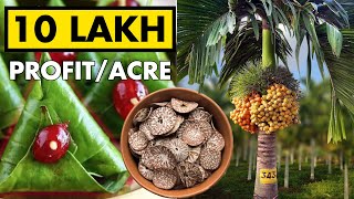 Arecanut Supari Farming  Betel Nut Cultivation [upl. by Nnaecarg]