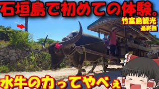 最終日も充実の石垣島の旅…。【ゆっくりトラベル】石垣島→竹富島 [upl. by Lesh]