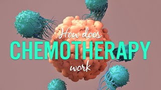 How does chemotherapy work  Cancer Treatment [upl. by Mayda300]