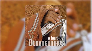 Dominguinhos  quotDe Volta pro AconchegoGostoso DemaisTenho Sede O Forró do Dominguinhos2003 [upl. by Gebelein]