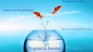 Tingstad amp Rumbel perform quotMedicine Treequot [upl. by Aicinat]