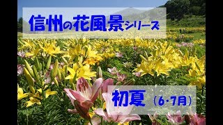 信州の花風景シリーズ・初夏（6・7月） [upl. by Salohcin]