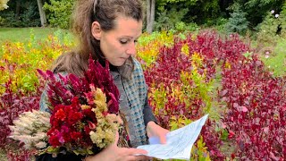 Ageratum Amaranth Aster Love in a Puff amp Celosia Review 2023 [upl. by Kaufmann568]