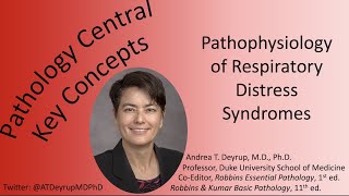 Medical School Pathology Pathophysiology of Respiratory Distress Syndrome [upl. by Nylsoj]