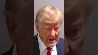 Trump Mugshot ai [upl. by Enelia]