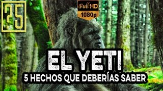 El Yeti ¿Es real 5 hechos que deberías saber Misterios del mundo 2015 HD 1080p [upl. by Brandes]