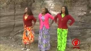 Taddalaa Gammachuu Raada Raadaa Oromo Music [upl. by Ayomat]