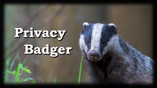 How to use Privacy Badger 2019 [upl. by Fanchon16]