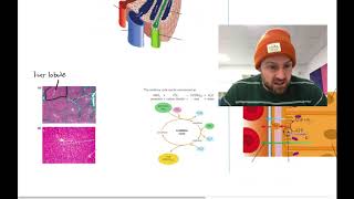 Excretion Mindmap OCR A Level Biology Module 52 [upl. by Kone]