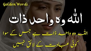 ☝️✨ Woh Wahid Zaat Jis Ke Siwa Koi Ibadat Ke Layiq Nahi ✨  New Urdu Quotes  Deep Lines Urdu Lines [upl. by Nahc]