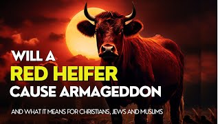 Will a Red Heifer Cause Armageddon near the April 8 2024 Eclipse and what it means [upl. by Adnahsal]