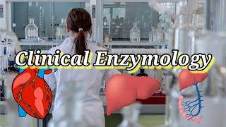 Clinical Enzymology clinical enzymes Clinical applications of enzymes [upl. by Pollack]