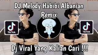 DJ MELODY HABIBI ARABIAN REMIX  DJ MELODY KANE FEXD RMX VIRAL TIK TOK TERBARU 2024 [upl. by Sparke589]