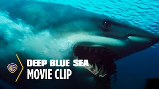 Deep Blue Sea  Shark Escape  Warner Bros Entertainment [upl. by Oner]