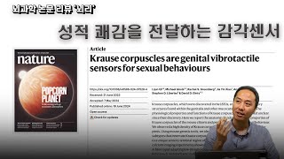 뇌과학 리뷰 quot뇌리quot Krause corpuscles are genital vibrotactile sensors for sexual behaviours [upl. by Thgirw]